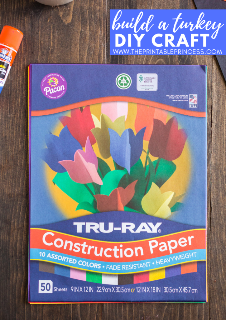 Turkey Craft for Kids