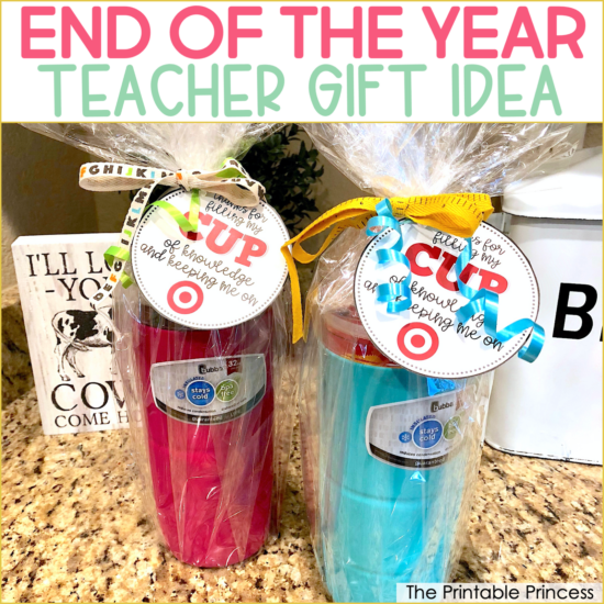 Easy End of The Year Teacher Gift Idea