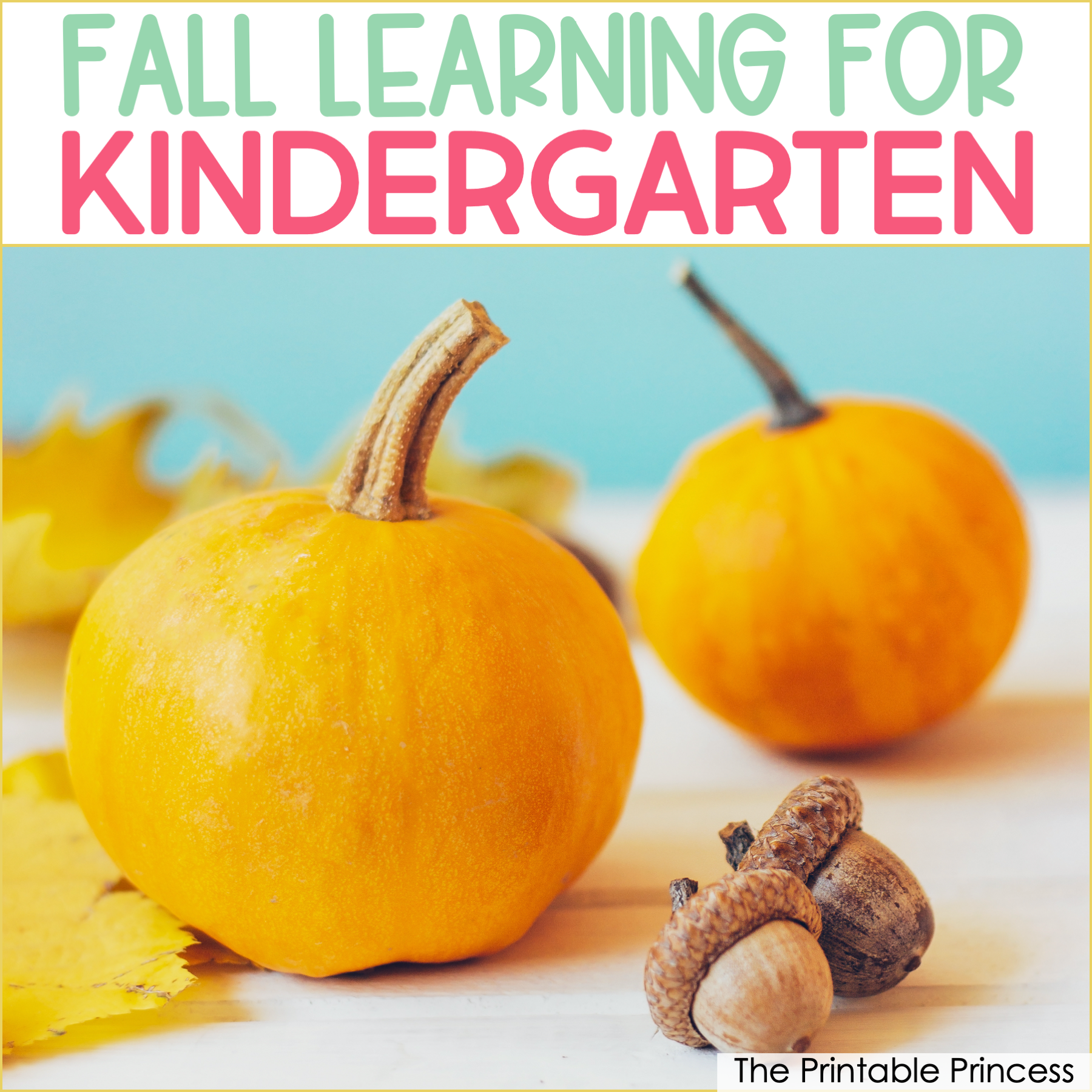 Fall Learning Activities for Kindergarten