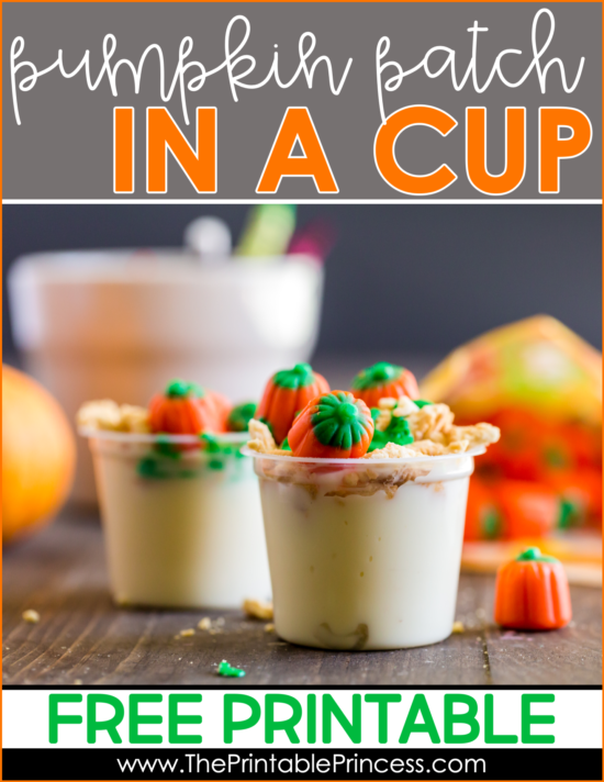 Pumpkin Patch in a Cup is an adorable festive fall snack idea for kids. It's great to make after a trip to the pumpkin patch or just because. This pumpkin themed fall snack makes a great treat for home or school! The ingredients are simple and there's no baking required which makes it perfect for classroom parties. This fun fall snack for kids is perfect for PreK, Kindergarten, or first grade. Grab step-by-step directions and a free no-prep sequencing printable to use as a follow up page. 