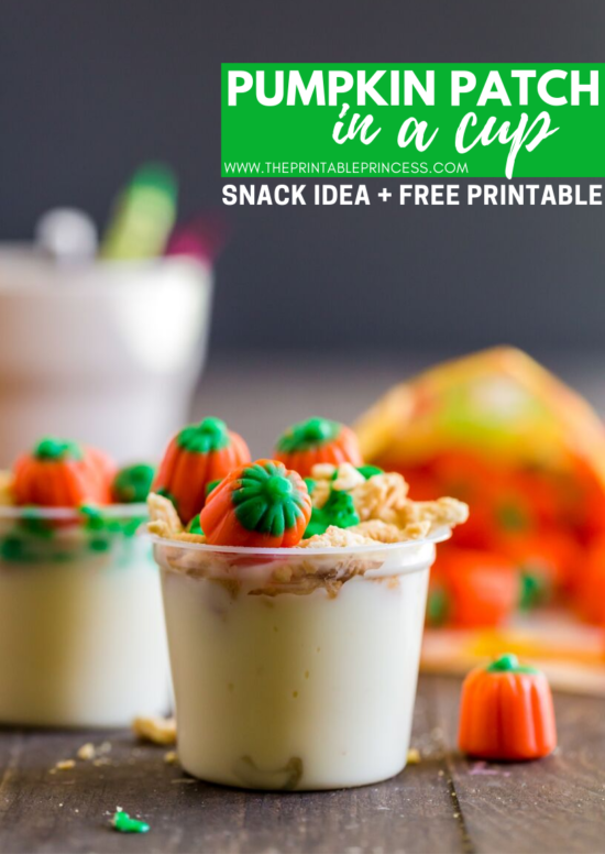 Pumpkin Patch in a Cup is an adorable festive fall snack idea for kids. It's great to make after a trip to the pumpkin patch or just because. This pumpkin themed fall snack makes a great treat for home or school! The ingredients are simple and there's no baking required which makes it perfect for classroom parties. This fun fall snack for kids is perfect for PreK, Kindergarten, or first grade. Grab step-by-step directions and a free no-prep sequencing printable to use as a follow up page. 