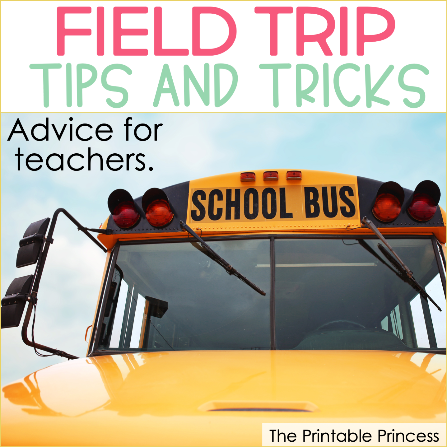 Field Trip Tips and Tricks for Teachers