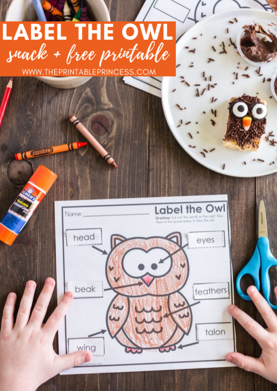 Check out this rice krispie owl treat. Super cute for fall or as part of your owl activities for Kindergarten. It's an easy to make and no-bake rice krispie variation recipe. It's a cute, creative, and hands-on way to help students remember the parts of an owl. Also included in the blog post is a FREE no prep Label the Owl printable. This free owl printable makes a great introduction or follow up activity for the rice krispie owls that your kindergarten students will LOVE!