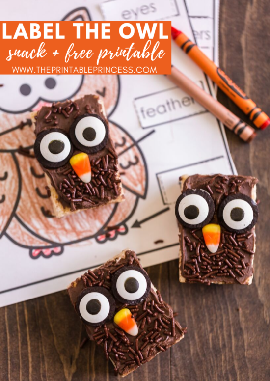 Check out this rice krispie owl treat. Super cute for fall or as part of your owl activities for Kindergarten. It's an easy to make and no-bake rice krispie variation recipe. It's a cute, creative, and hands-on way to help students remember the parts of an owl. Also included in the blog post is a FREE no prep Label the Owl printable. This free owl printable makes a great introduction or follow up activity for the rice krispie owls that your kindergarten students will LOVE!