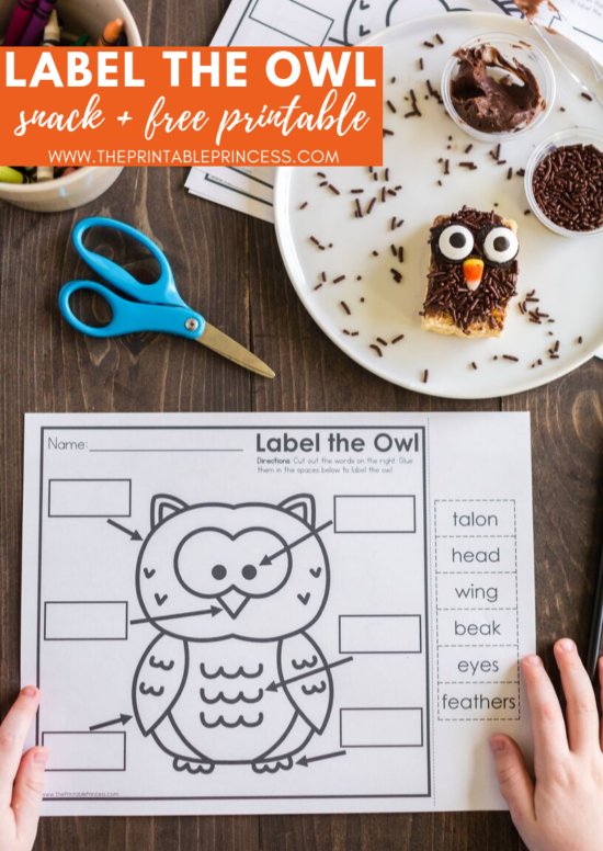 Check out this rice krispie owl treat. Super cute for fall or as part of your owl activities for Kindergarten. It's an easy to make and no-bake rice krispie variation recipe. It's a cute, creative, and hands-on way to help students remember the parts of an owl. Also included in the blog post is a FREE no prep Label the Owl printable. This free owl printable makes a great introduction or follow up activity for the rice krispie owls that your kindergarten students will LOVE!